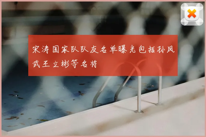 宋涛国家队队友名单曝光包括孙凤武王立彬等名将