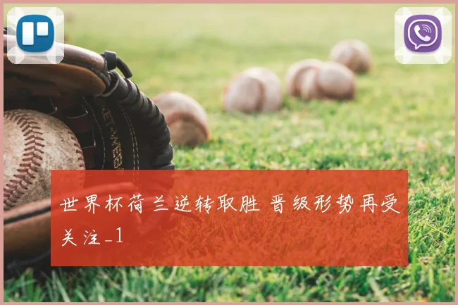 世界杯荷兰逆转取胜 晋级形势再受关注_1