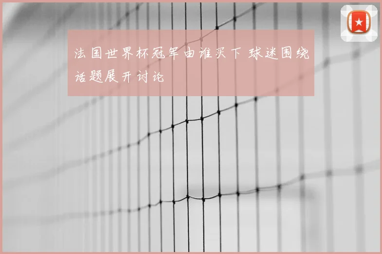 法国世界杯冠军由谁买下 球迷围绕话题展开讨论